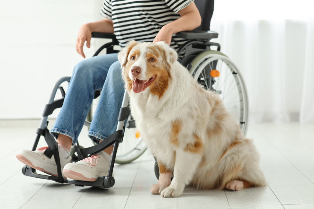 Disability care services